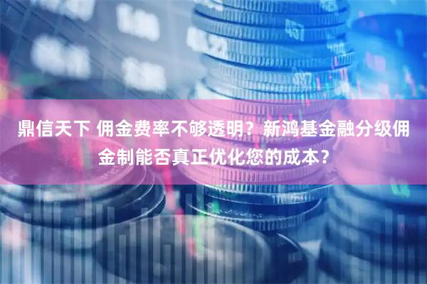 鼎信天下 佣金费率不够透明？新鸿基金融分级佣金制能否真正优化您的成本？