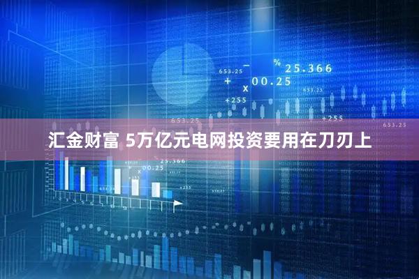 汇金财富 5万亿元电网投资要用在刀刃上